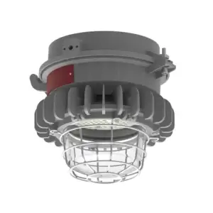 LED LIGHT